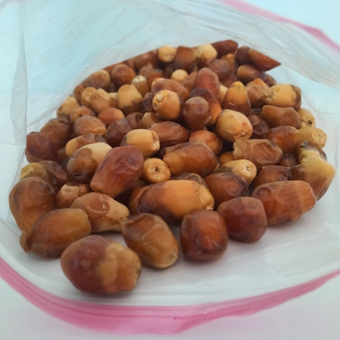 قیمت و خرید خرمای زاهدی تازه – اوز مارکت